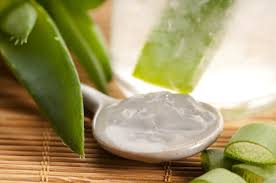 aloevera